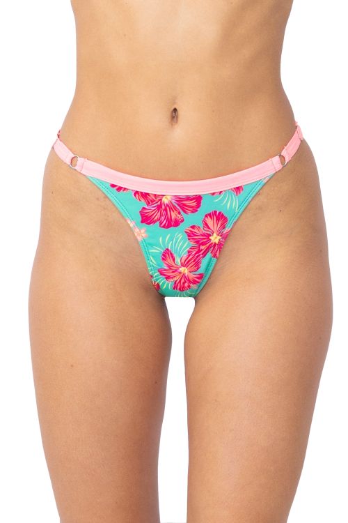 Colaless Coco Caribe