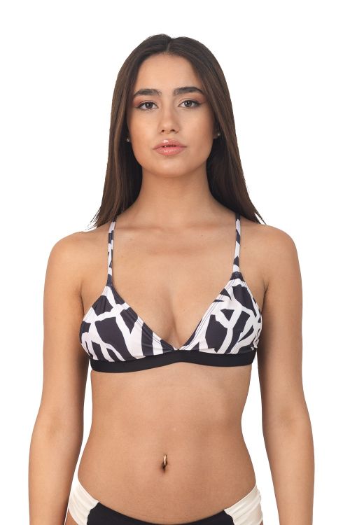 Triangulo Cami Carilo